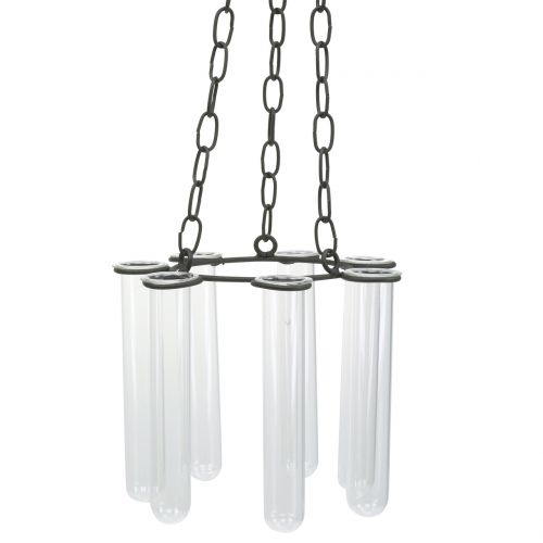 Floristik24 Tubo de ensayo de corona colgante Ø18cm