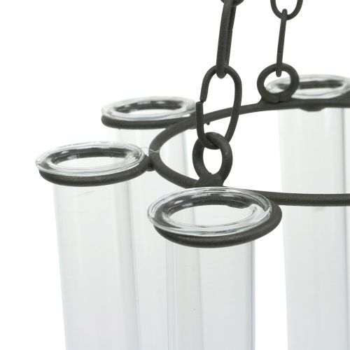 Floristik24 Tubo de ensayo de corona colgante Ø18cm