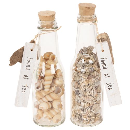 Decoración de botella de vidrio con conchas y colgante, decoración de mesa marítima, 17 cm, 2 piezas comprar | Floristik24.es