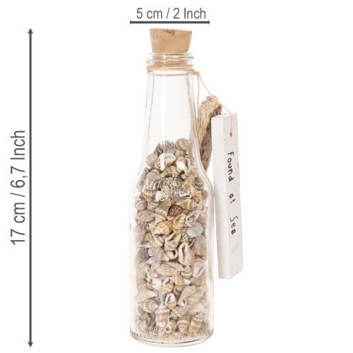 Decoración de botella de vidrio con conchas y colgante, decoración de mesa marítima, 17 cm, 2 piezas | Floristik24.es