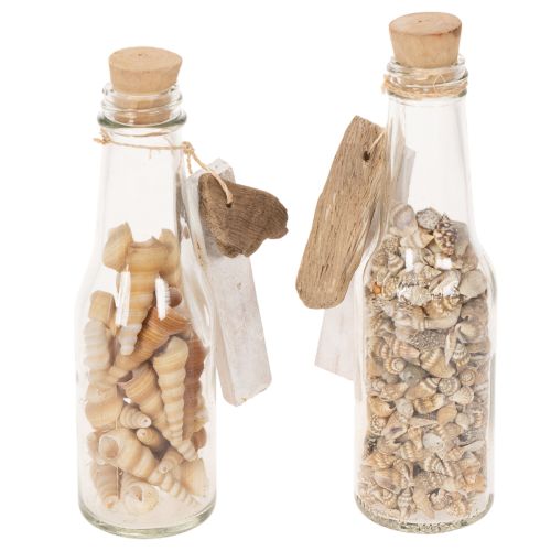 Decoración de botella de vidrio con conchas y colgante, decoración de mesa marítima, 17 cm, 2 piezas | Floristik24.es