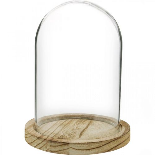 Campana decorativa, cúpula de cristal con placa de madera, decoración de mesa H16cm Ø12.5cm