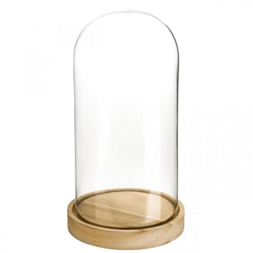 Floristik24 Campana de cristal con placa, cúpula de cristal, decoración de campana de cristal H21cm