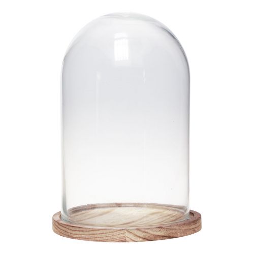 Floristik24 Campana de cristal con placa de madera decoración de cristal Ø17cm H25cm