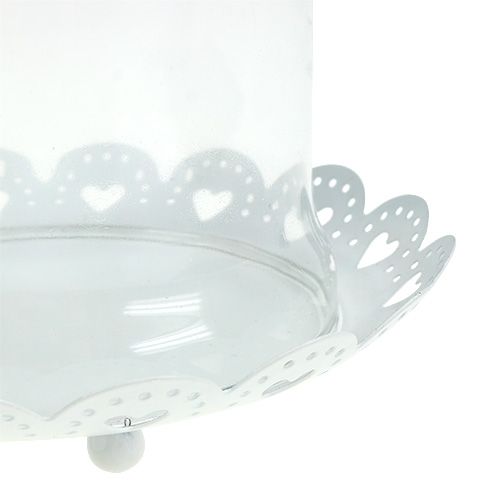 Floristik24 Campana de cristal con placa Ø15,5cm H17cm blanco