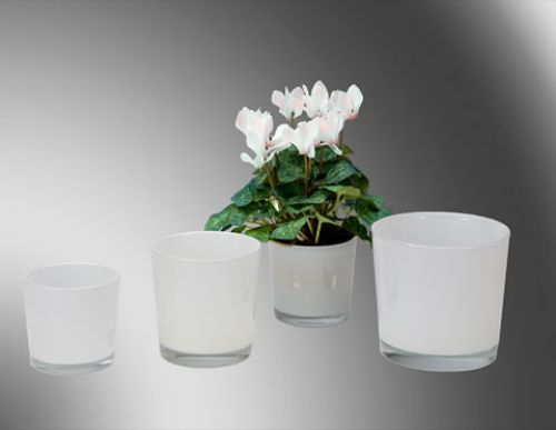 Floristik24 Cubo de cristal blanco