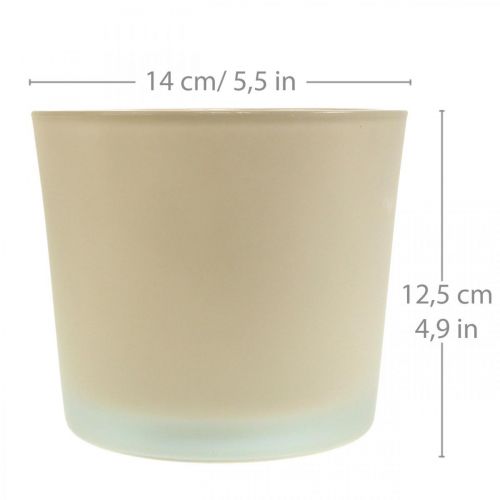 Artículo Macetero de cristal macetero beige Macetero de cristal Ø14.5cm H12.5cm