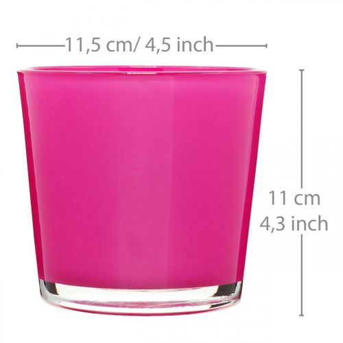 Floristik24 Tina de vidrio, jardinera rosa Ø11.5cm H11cm