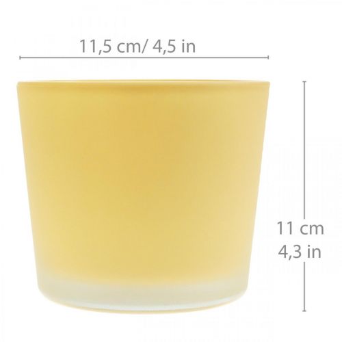 Artículo Macetero de cristal amarillo bañera decorativa de cristal Ø11,5cm H11cm