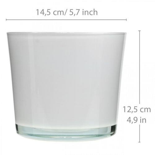 Artículo Macetero de cristal macetero blanco bañera de cristal Ø14,5cm H12,5cm