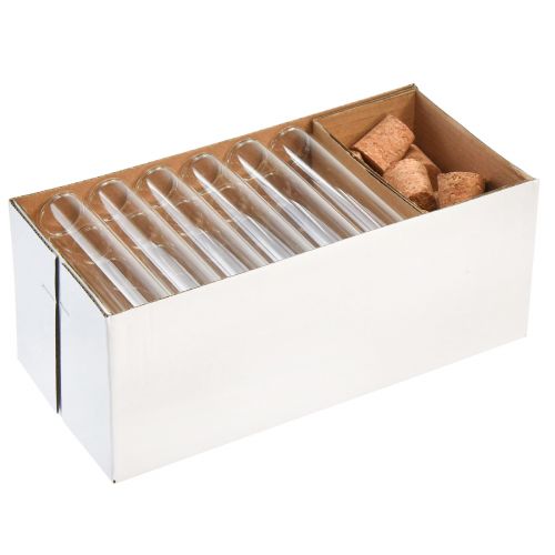 Floristik24 Mini jarrones de vidrio tubos de vidrio decorativos con corchos Al. 11,5 cm 24 piezas