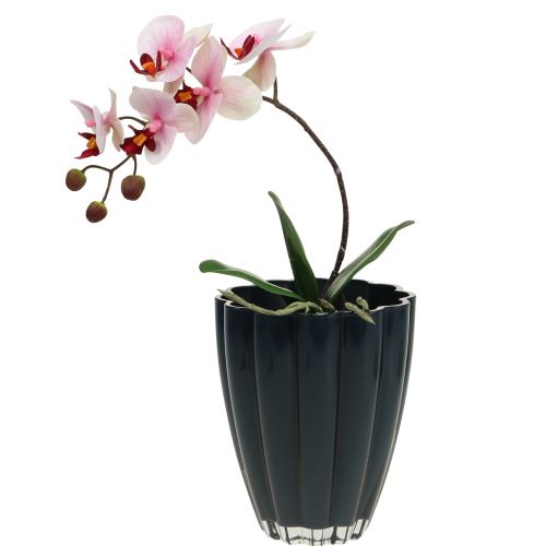 Floristik24 Florero de vidrio &quot;Bloom&quot; Azul Oscuro Ø14cm H17cm