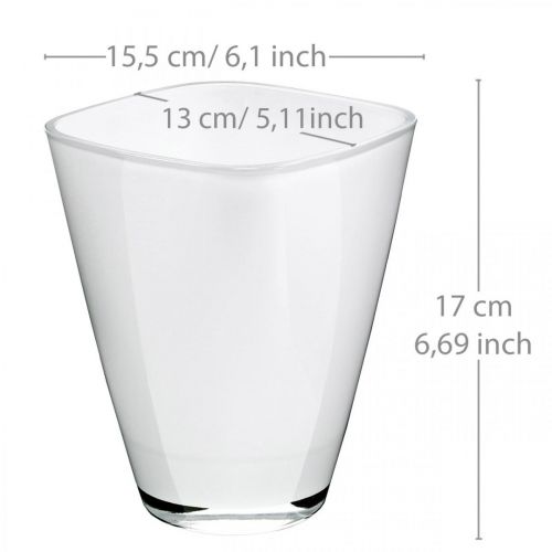 Floristik24 Maceta de orquídeas de cristal blanco H17cm W13cm