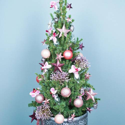 Floristik24 Florero de cristal con clip flor Ø3.3cm H8.5cm transparente 4pcs