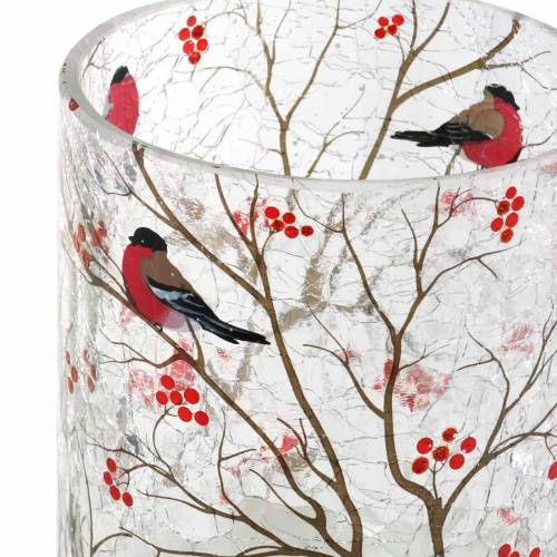 Floristik24 Linterna Bullfinch Crackle Claro Ø9cm H10cm