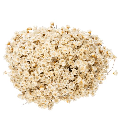 Artículo Ramo de flores secas, delicadas flores para decoración natural del hogar, 44cm