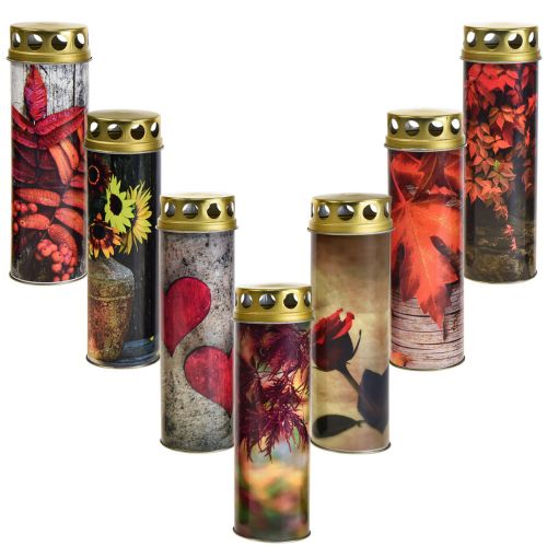 Floristik24 Velas funerarias velas de luto motivos otoñales color Ø6cm H20cm 6 piezas