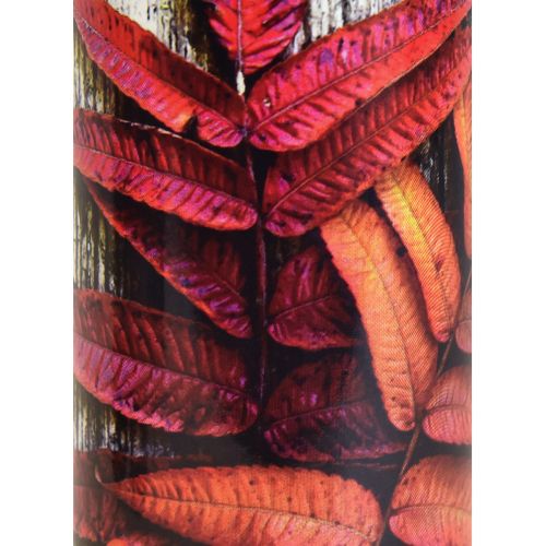 Floristik24 Velas funerarias velas de luto motivos otoñales color Ø6cm H20cm 6 piezas