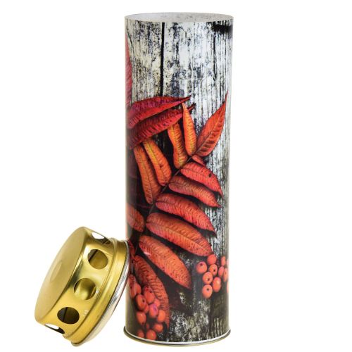 Floristik24 Velas funerarias velas de luto motivos otoñales color Ø6cm H20cm 6 piezas
