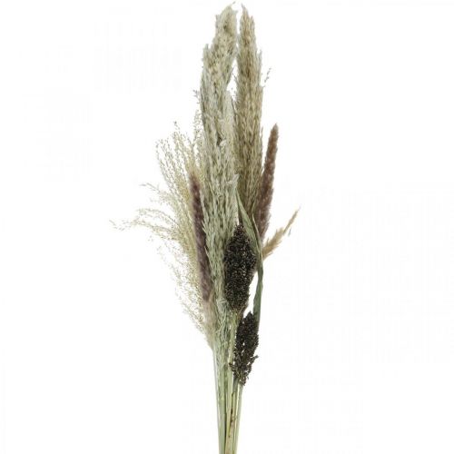 Hierbas secas en manojo Florística seca Ramo seco Al. 70 cm