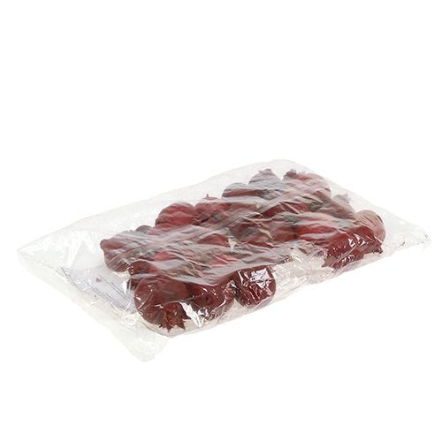 Floristik24 Granadas 250g