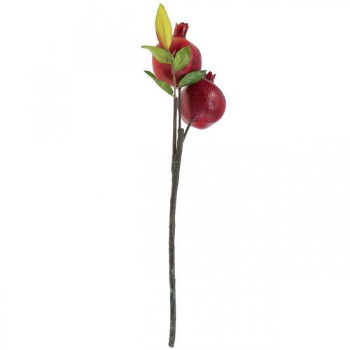 Floristik24 Rama decorativa decoracion granada, fruta decorativa, granada decorativa 39cm