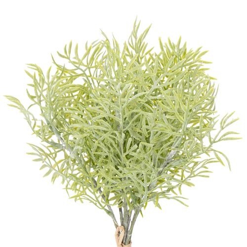 Rama de espárrago ornamental, complemento natural para ramos de flores, 34 cm, 7 piezas