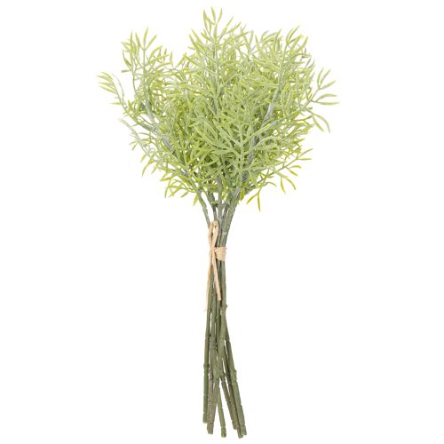 Artículo Rama de espárrago ornamental, complemento natural para ramos de flores, 34 cm, 7 piezas
