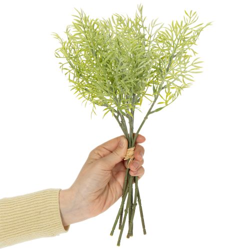 Artículo Rama de espárrago ornamental, complemento natural para ramas de flores, 34 cm, 7 piezas