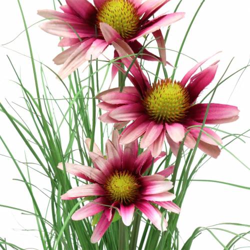 Floristik24 Hierba con equinácea en una maceta Rosa Artificial 44cm