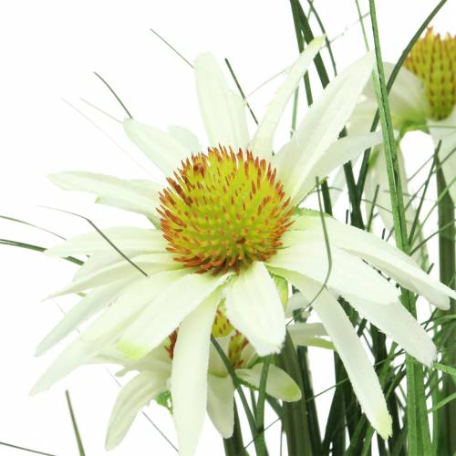 Floristik24 Hierba con equinácea artificial en maceta blanca 52cm