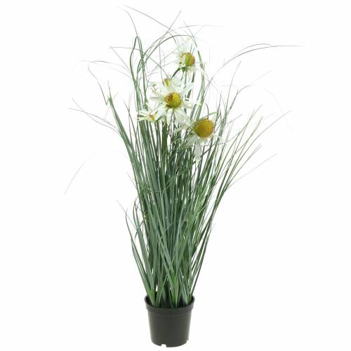 Artículo Césped con equinácea artificial en una maceta blanca 56cm