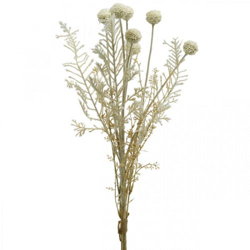 Floristik24 Hierbas secas pampas grass artificial crema allium, beige Al. 60 cm