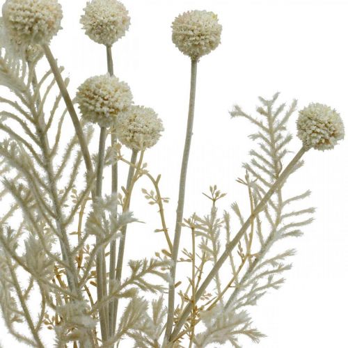 Artículo Hierbas secas pampas grass artificial crema allium, beige Al. 60 cm