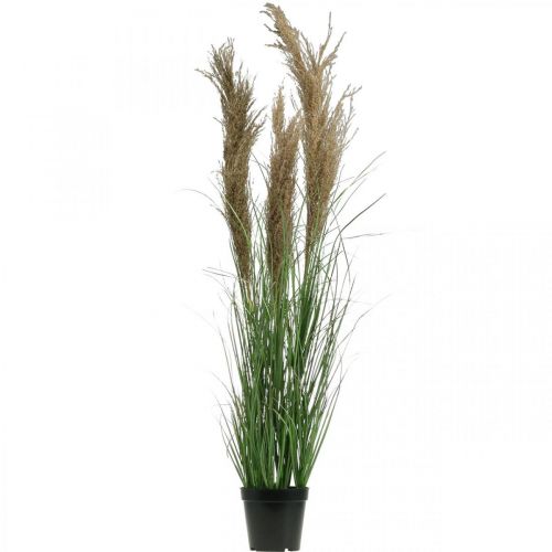 Artículo Juncia artificial en maceta con flores secas verde, marrón 98cm