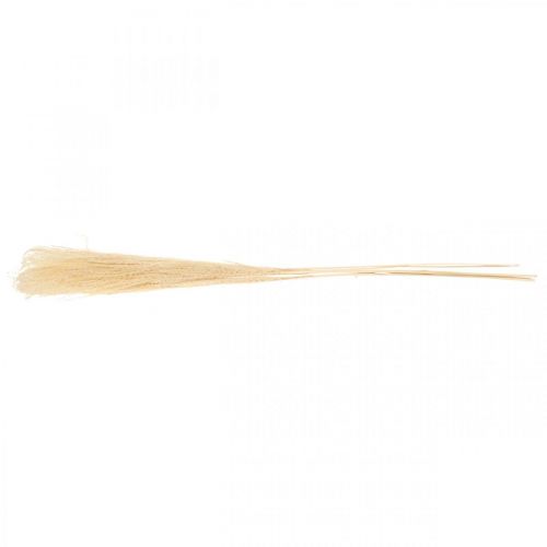 Floristik24 Hierba decorativa seca hierba ornamental natural decoración seca 6 tallos