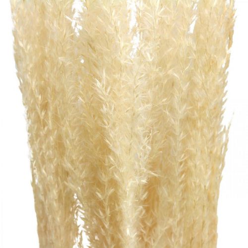 Floristik24 Hierba decorativa seca hierba ornamental natural decoración seca 6 tallos