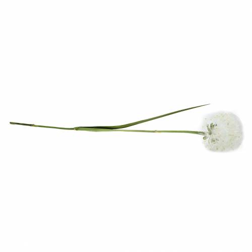 Floristik24 Diente de león decorativo 100cm