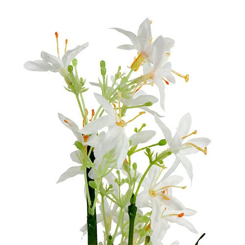 Artículo Arbusto de hierba con flores verde, blanco 3 piezas