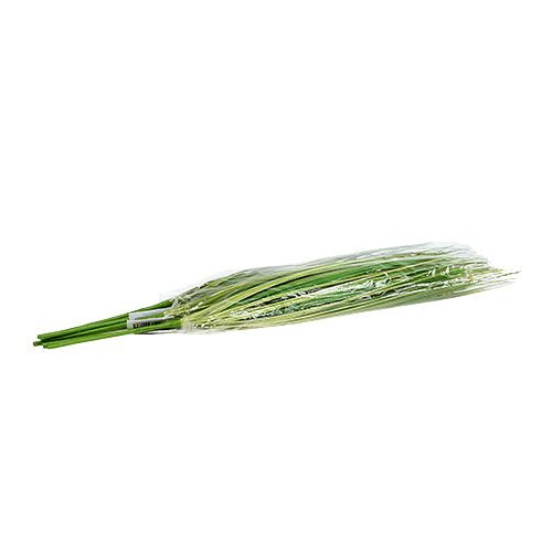 Floristik24 Rama de hierba con flores 58cm verde 6pcs