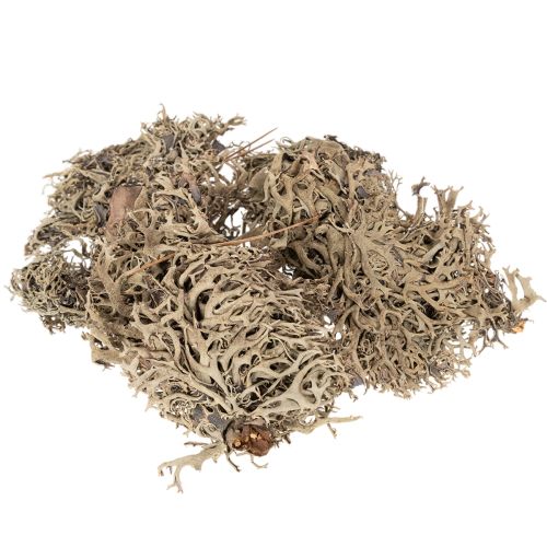 Musgo decorativo, musgo gris para manualidades, 500 g
