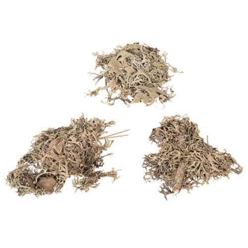 Musgo decorativo, musgo gris para manualidades, 500 g | Floristik24.es