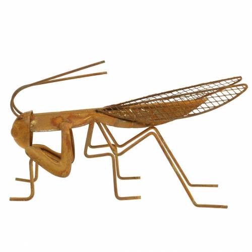 Floristik24 Jardín decoración reja noble óxido metal 14.5cm