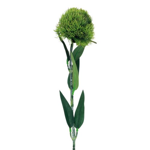 Artículo Clavel barbudo verde flor artificial como del jardín 54cm