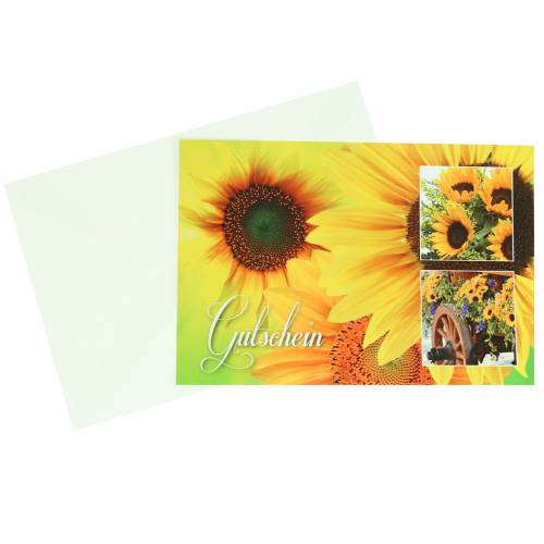 Floristik24 Bono girasol con sobre 5pcs