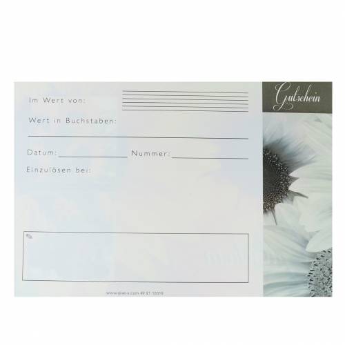 Floristik24 Bono girasol con sobre 5pcs
