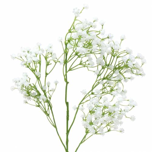 Floristik24 Baby's Breath Gypsophila Blanco 66cm