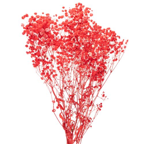 Ramo de gypsophila seca (75 cm, 100 g) comprar | Floristik24.es