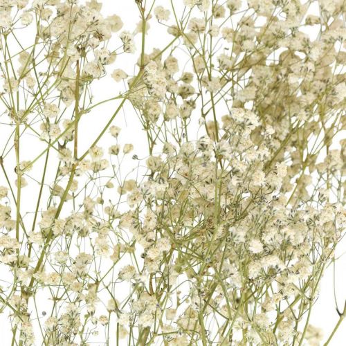 Artículo Gypsophila seca, Dry Floristics, Gypsophila White L64cm 20g