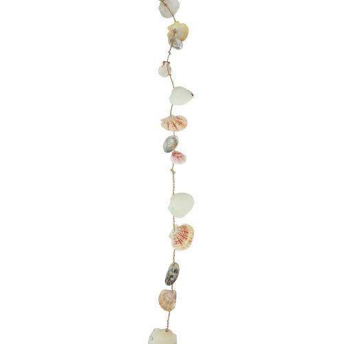 Floristik24 Decoración colgante decoración concha marítima natural 110cm Ø5–10cm